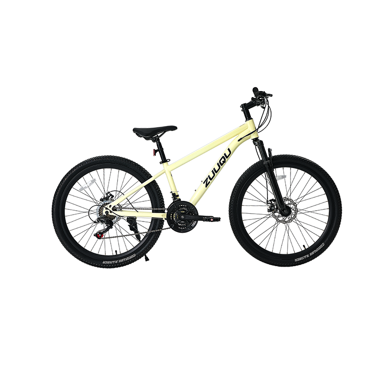 21 속도 디스크 브레이크 26 "MTB